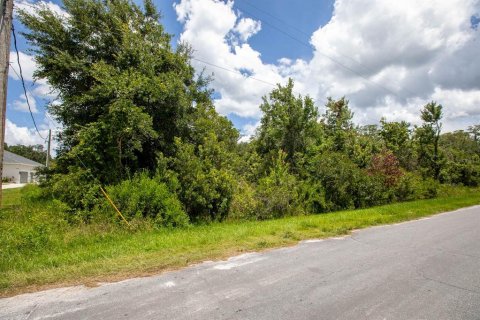 Terrain à vendre à Orlando, Floride № 1288398 - photo 6