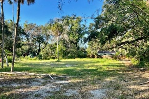 Terreno en venta en Sarasota, Florida № 1433687 - foto 2