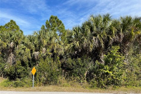 Land in Punta Gorda, Florida № 241071 - photo 5