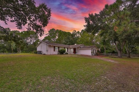 Villa ou maison à vendre à Wesley Chapel, Floride: 4 chambres, 190.08 m2 № 1344318 - photo 6