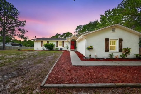 Villa ou maison à vendre à Wesley Chapel, Floride: 4 chambres, 190.08 m2 № 1344318 - photo 1