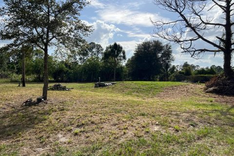 Купить земельный участок в Клуистон, Флорида № 1007735 - фото 6