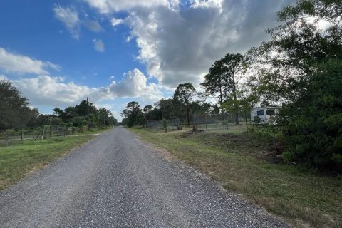 Купить земельный участок в Клуистон, Флорида № 1007735 - фото 3