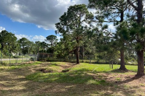 Купить земельный участок в Клуистон, Флорида № 1007735 - фото 8