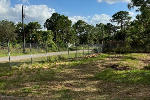 Купить земельный участок в Клуистон, Флорида № 1007735 - фото 4