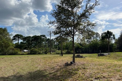 Купить земельный участок в Клуистон, Флорида № 1007735 - фото 7