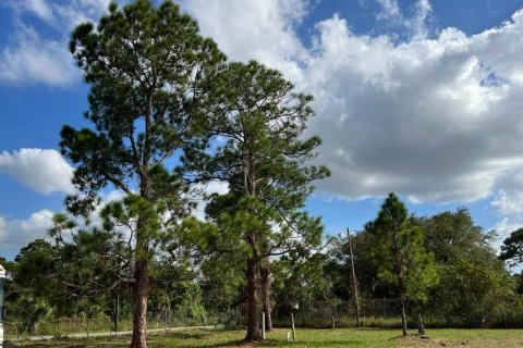 Купить земельный участок в Клуистон, Флорида № 1007735 - фото 11