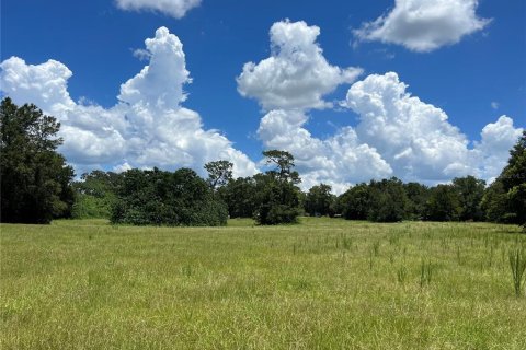 Terrain à vendre à Ocala, Floride № 1425859 - photo 2