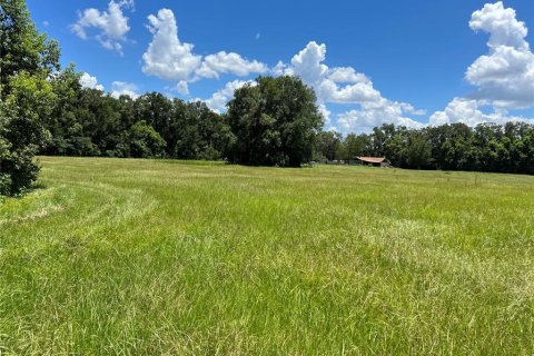 Terreno en venta en Ocala, Florida № 1425859 - foto 3