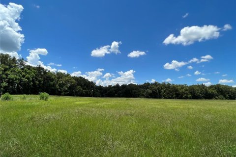 Terrain à vendre à Ocala, Floride № 1425859 - photo 4