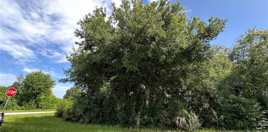 Terrain à Port Charlotte, Floride № 1334687