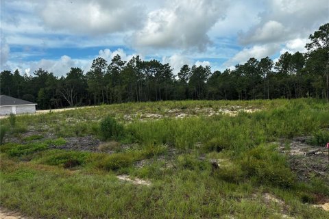 Land in Ocala, Florida № 1349238 - photo 2