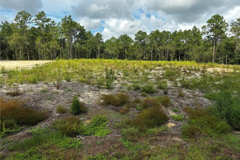 Land in Ocala, Florida № 1349238 - photo 1