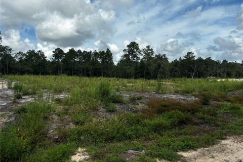 Land in Ocala, Florida № 1349238 - photo 3