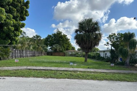 Купить земельный участок в Форт-Лодердейл, Флорида № 635959 - фото 1