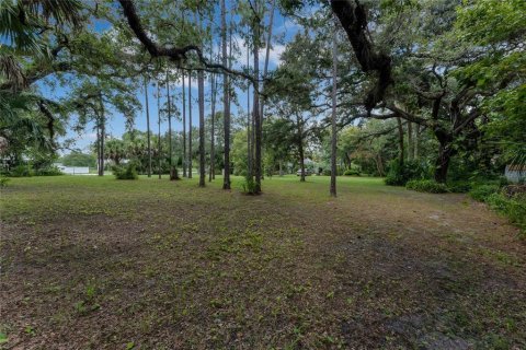 Terrain à vendre à Orlando, Floride № 1299403 - photo 6