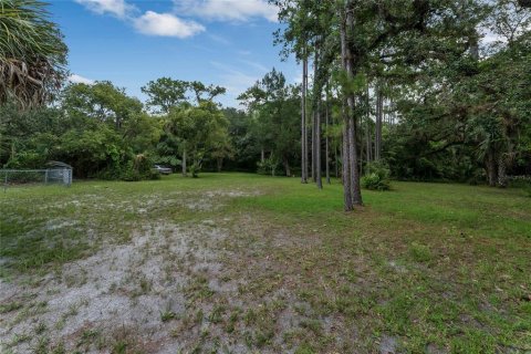 Terreno en venta en Orlando, Florida № 1299403 - foto 7