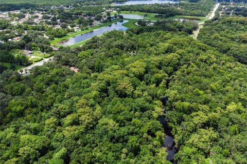 Land in Orlando, Florida № 1299403 - photo 15