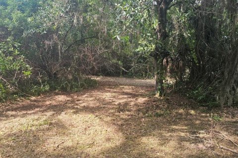 Terreno en venta en Seminole, Florida № 1326101 - foto 8