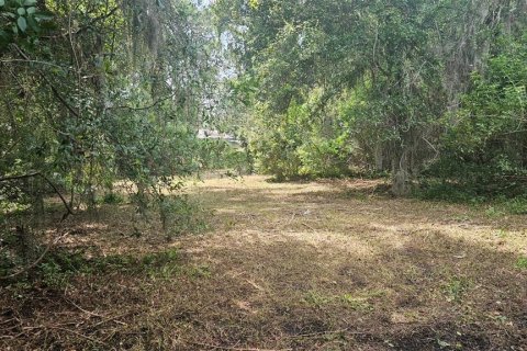 Terreno en venta en Seminole, Florida № 1326101 - foto 7