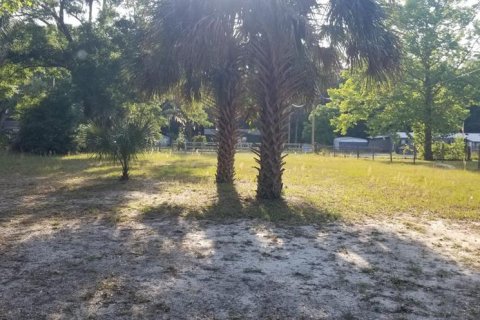 Terreno en venta en Eustis, Florida № 1326098 - foto 2