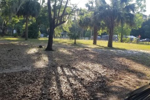 Terreno en venta en Eustis, Florida № 1326098 - foto 3