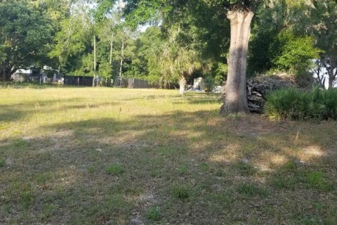 Terreno en venta en Eustis, Florida № 1326098 - foto 1