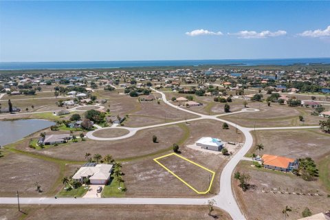 Land in Punta Gorda, Florida № 445045 - photo 2