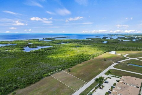Купить земельный участок в Пунта-Горда, Флорида № 971045 - фото 9
