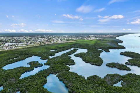 Купить земельный участок в Пунта-Горда, Флорида № 971045 - фото 20