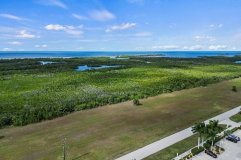 Купить земельный участок в Пунта-Горда, Флорида № 971045 - фото 6