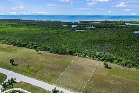 Купить земельный участок в Пунта-Горда, Флорида № 971045 - фото 5