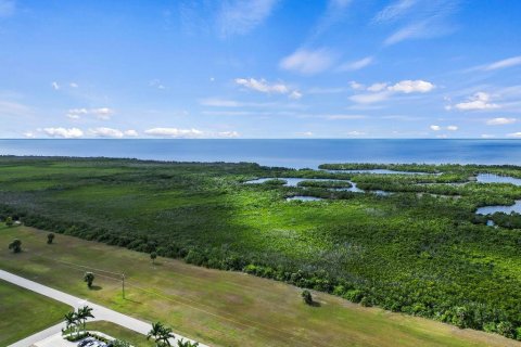 Купить земельный участок в Пунта-Горда, Флорида № 971045 - фото 7
