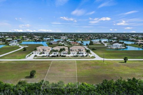 Купить земельный участок в Пунта-Горда, Флорида № 971045 - фото 2