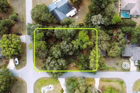 Купить земельный участок в Порт-Шарлотт, Флорида № 238499 - фото 26