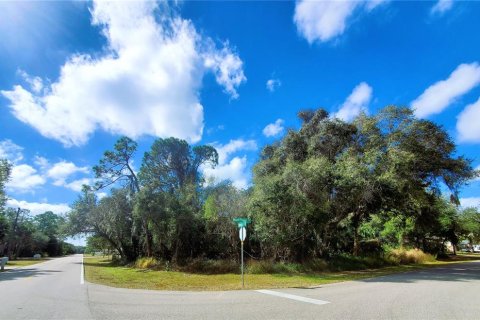 Купить земельный участок в Порт-Шарлотт, Флорида № 238499 - фото 10