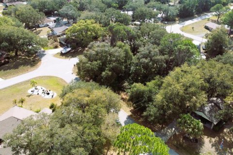 Land in Port Charlotte, Florida № 238499 - photo 8