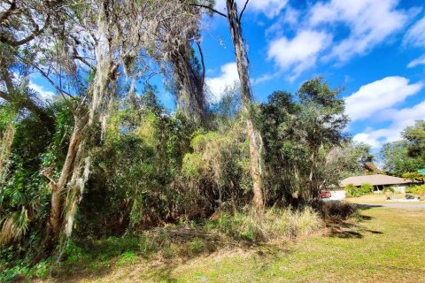 Land in Port Charlotte, Florida № 238499 - photo 15