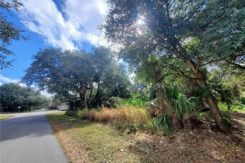 Купить земельный участок в Порт-Шарлотт, Флорида № 238499 - фото 3