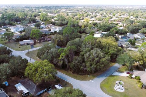 Land in Port Charlotte, Florida № 238499 - photo 28