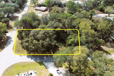 Terreno en venta en Port Charlotte, Florida № 238499 - foto 1