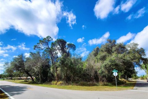 Купить земельный участок в Порт-Шарлотт, Флорида № 238499 - фото 11