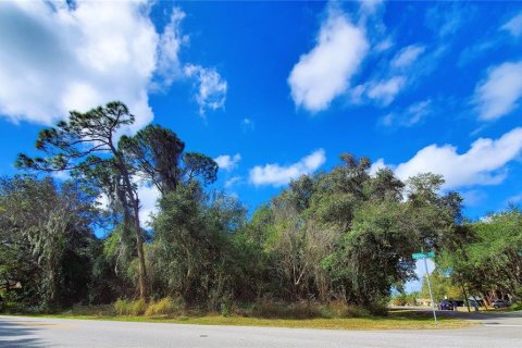 Купить земельный участок в Порт-Шарлотт, Флорида № 238499 - фото 12