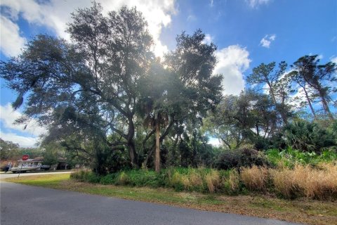 Купить земельный участок в Порт-Шарлотт, Флорида № 238499 - фото 6