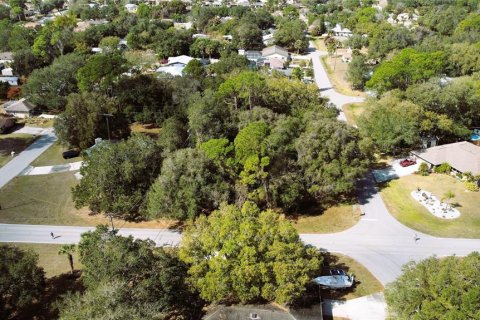 Купить земельный участок в Порт-Шарлотт, Флорида № 238499 - фото 25