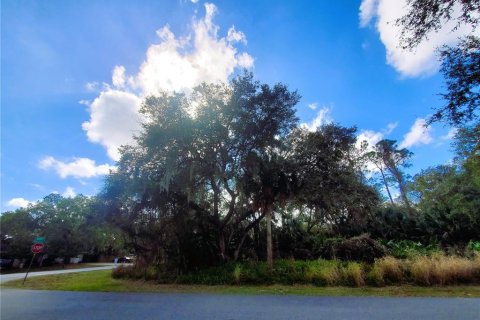 Купить земельный участок в Порт-Шарлотт, Флорида № 238499 - фото 24