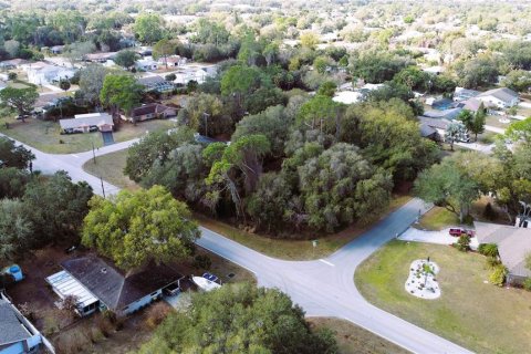 Купить земельный участок в Порт-Шарлотт, Флорида № 238499 - фото 30