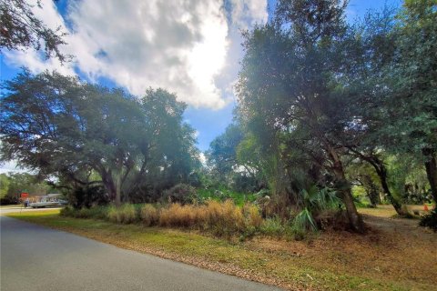 Купить земельный участок в Порт-Шарлотт, Флорида № 238499 - фото 2