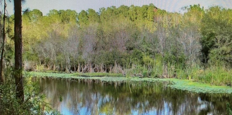 Terrain à North Port, Floride № 952797