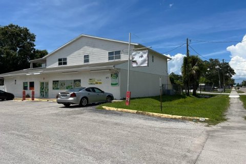 Immobilier commercial à vendre à Tampa, Floride: 483.18 m2 № 1273717 - photo 1